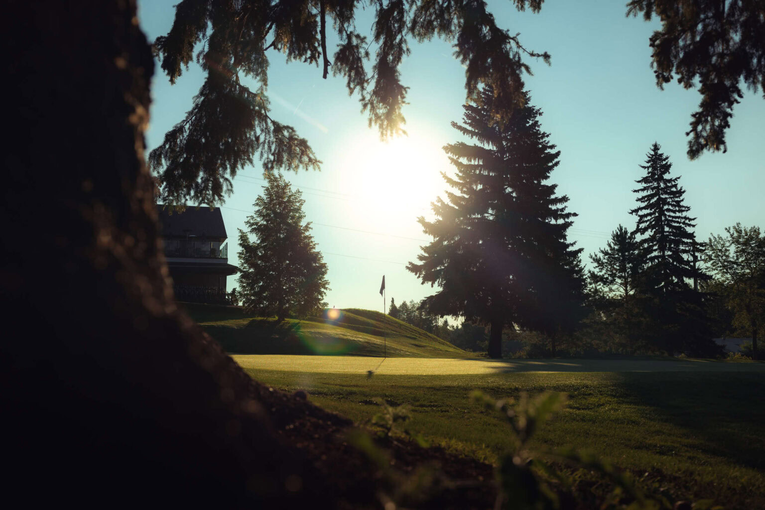 Serene view of Highlands Golf Club with lush greens and tall pine trees at sunset.
